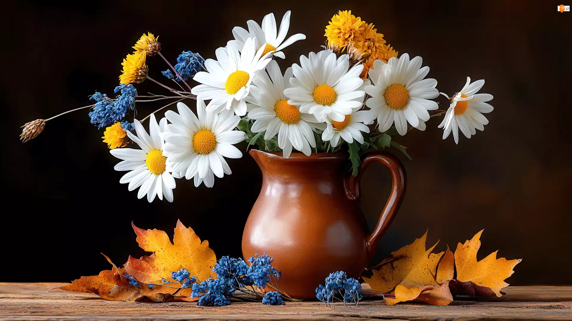 Bukiet, Margerytki, Dzbanek, Ceramika, Kwiaty