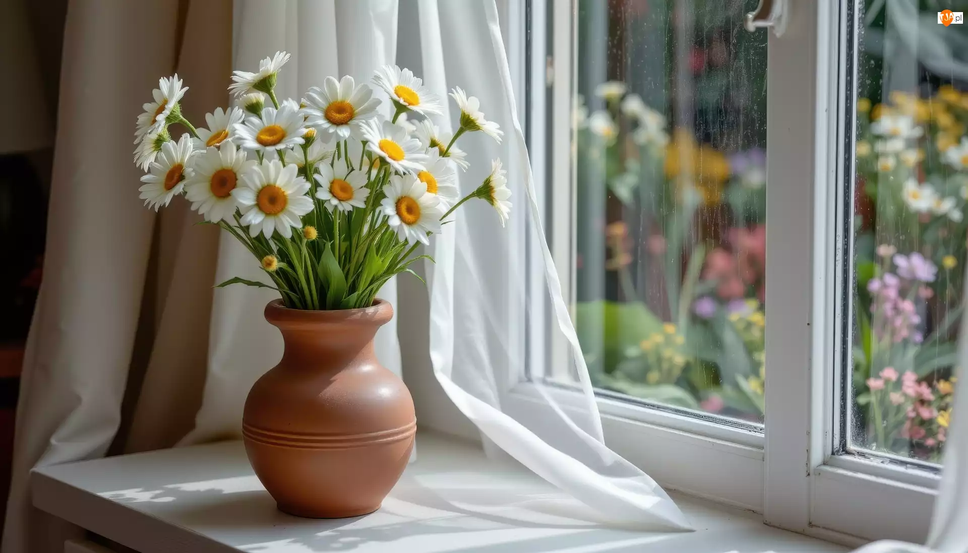 Wazon, Parapet, Bukiet, Kwiaty, Okno