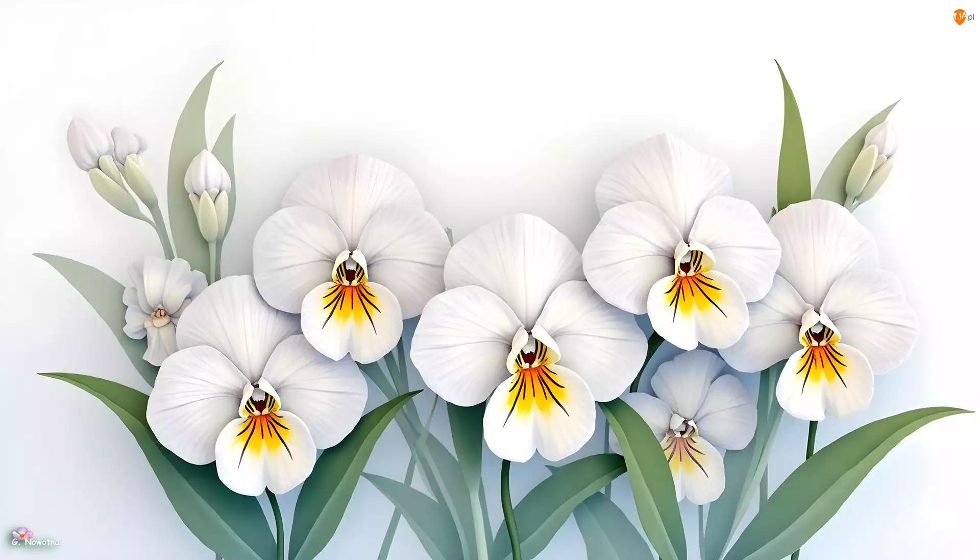 Grafika AI, Białe, Bratki, Kwiaty