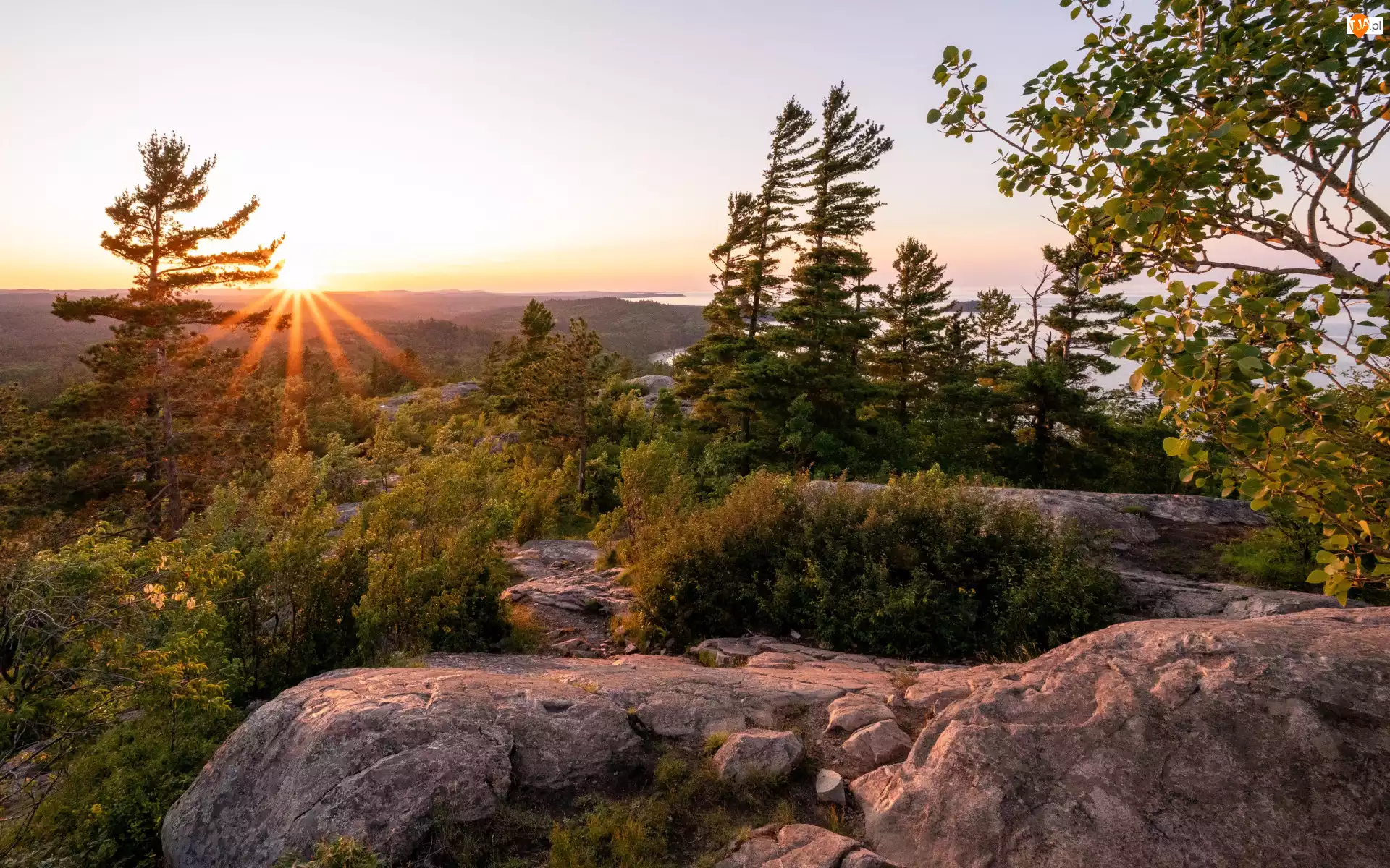 Skały, Drzewa, Góry, Promienie słońca, Lasy