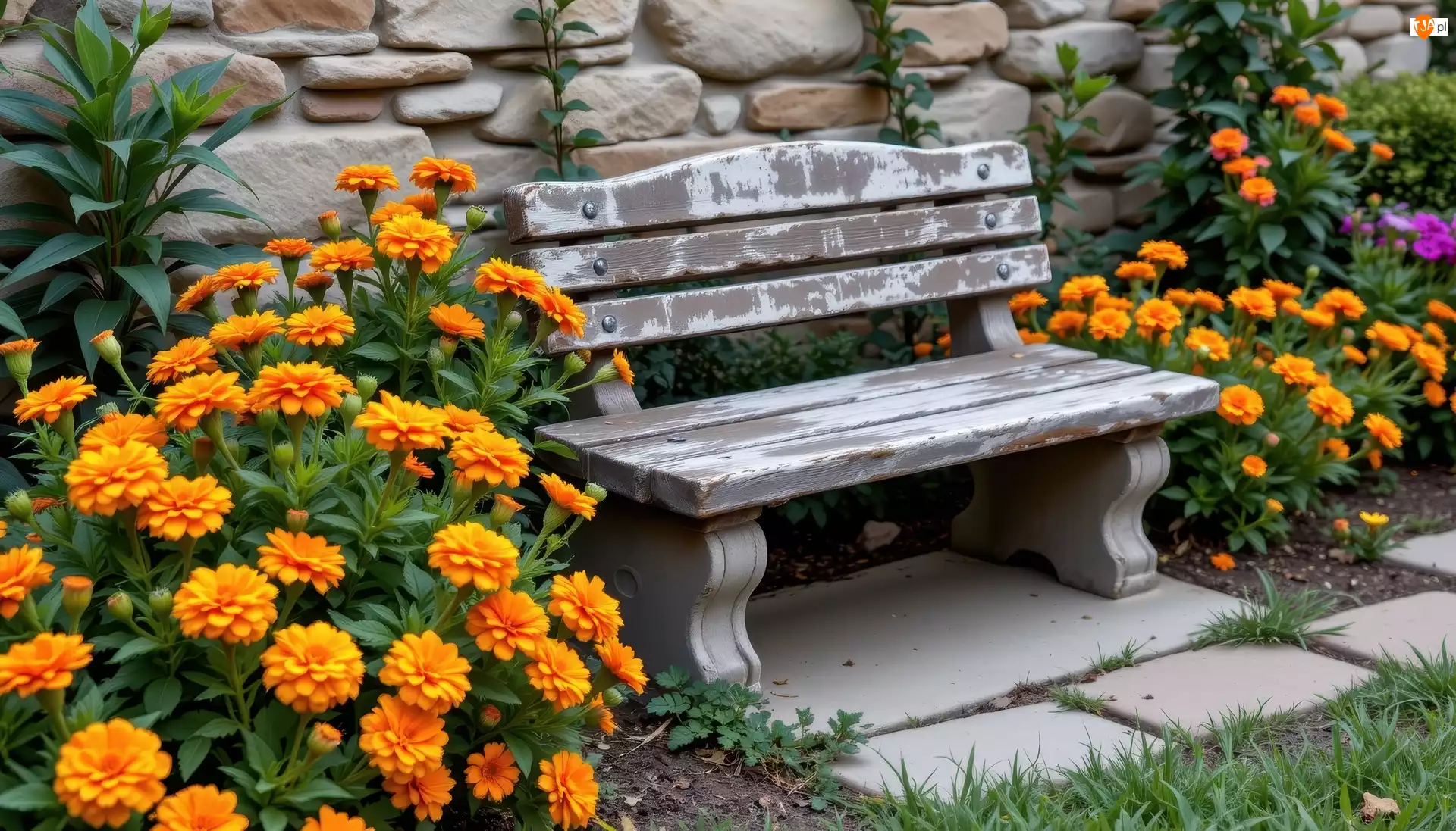 Murek, Kwiaty, Ławka