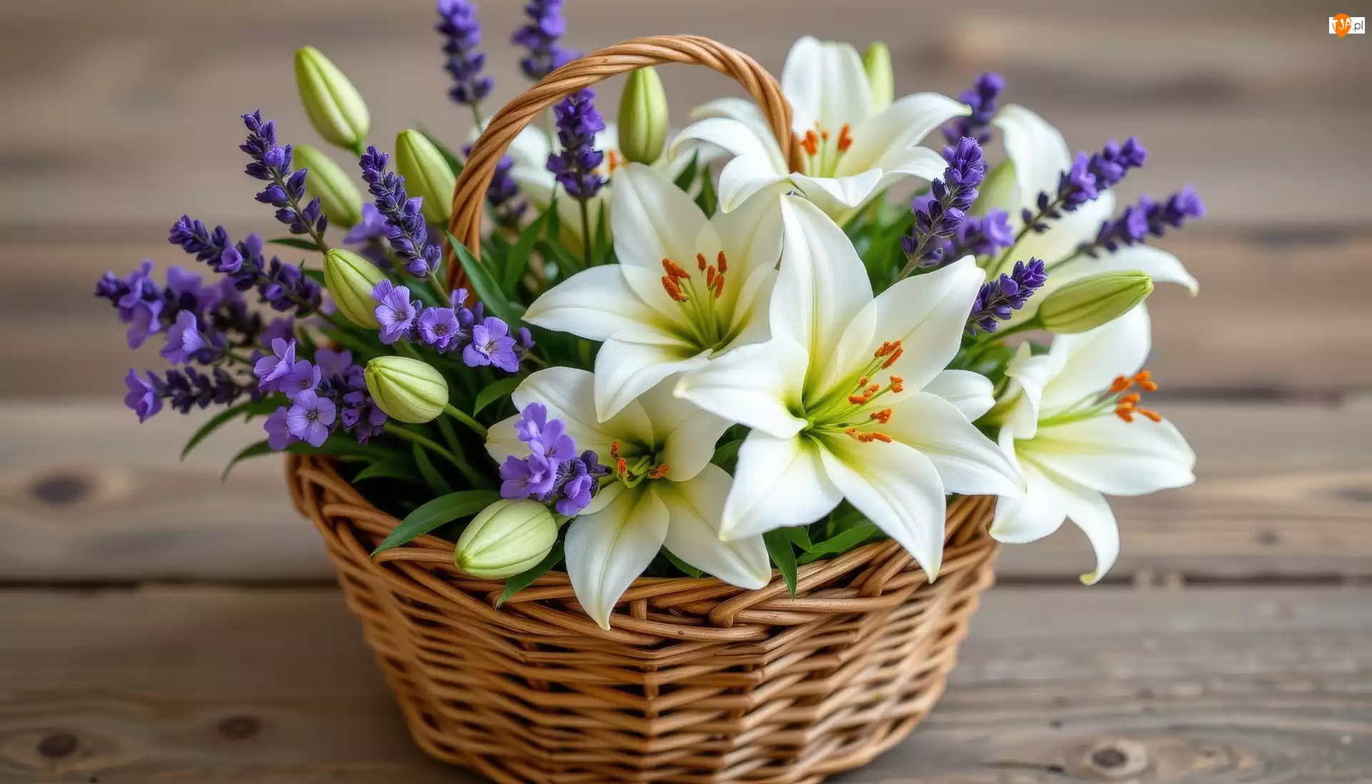 Lawenda, AI, Lilie, Kwiaty, Koszyk