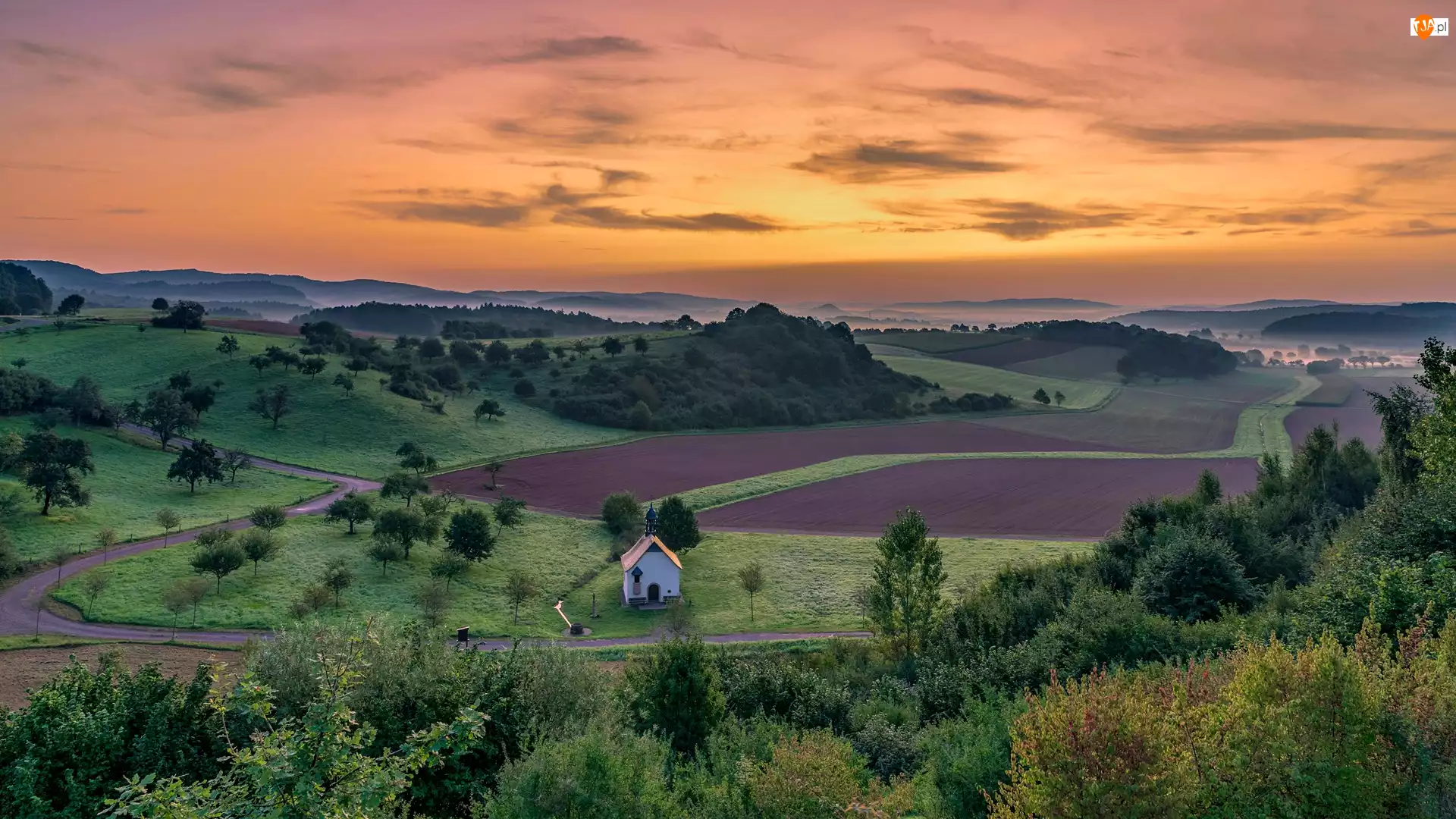 Wzgórze, Drzewa, Kapliczka, Pola