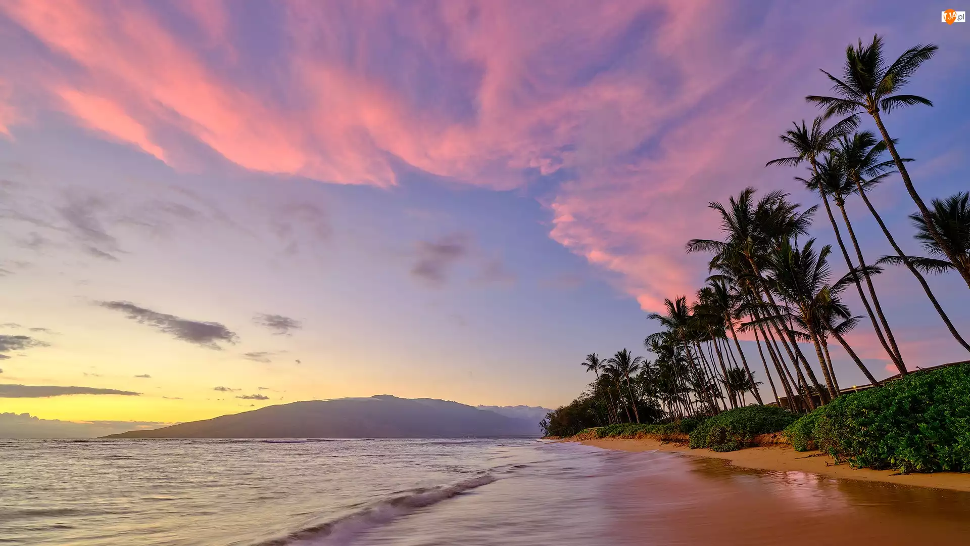 Plaża, Palmy, Stany Zjednoczone, Morze, Maui, Hawaje, Wybrzeże