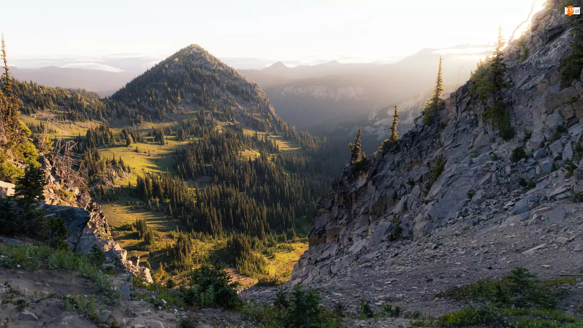 Skały, Mgła, Góra, Góry, Drzewa