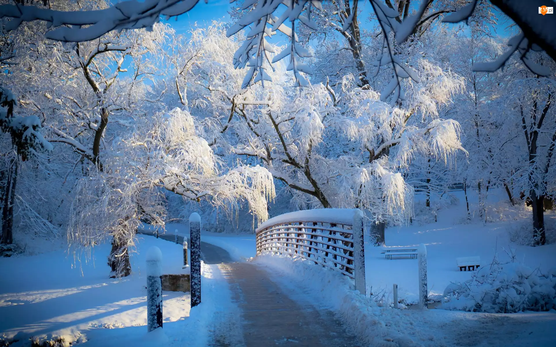Most, Drzewa, Park, Zima, Śnieg