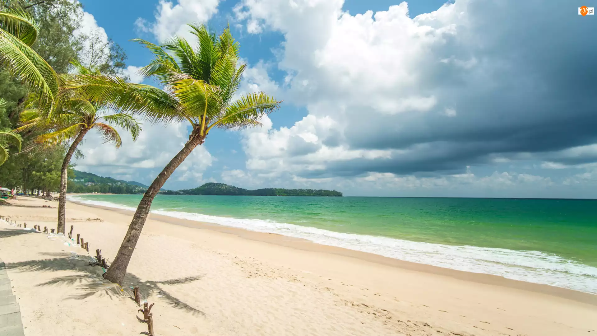 Chmury, Plaża, Morze, Palmy