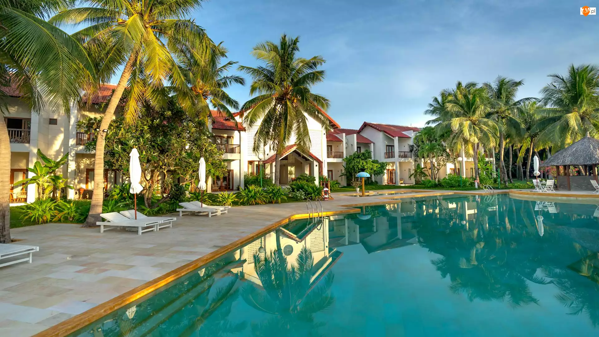 Domy, Basen, Leżaki, Palmy