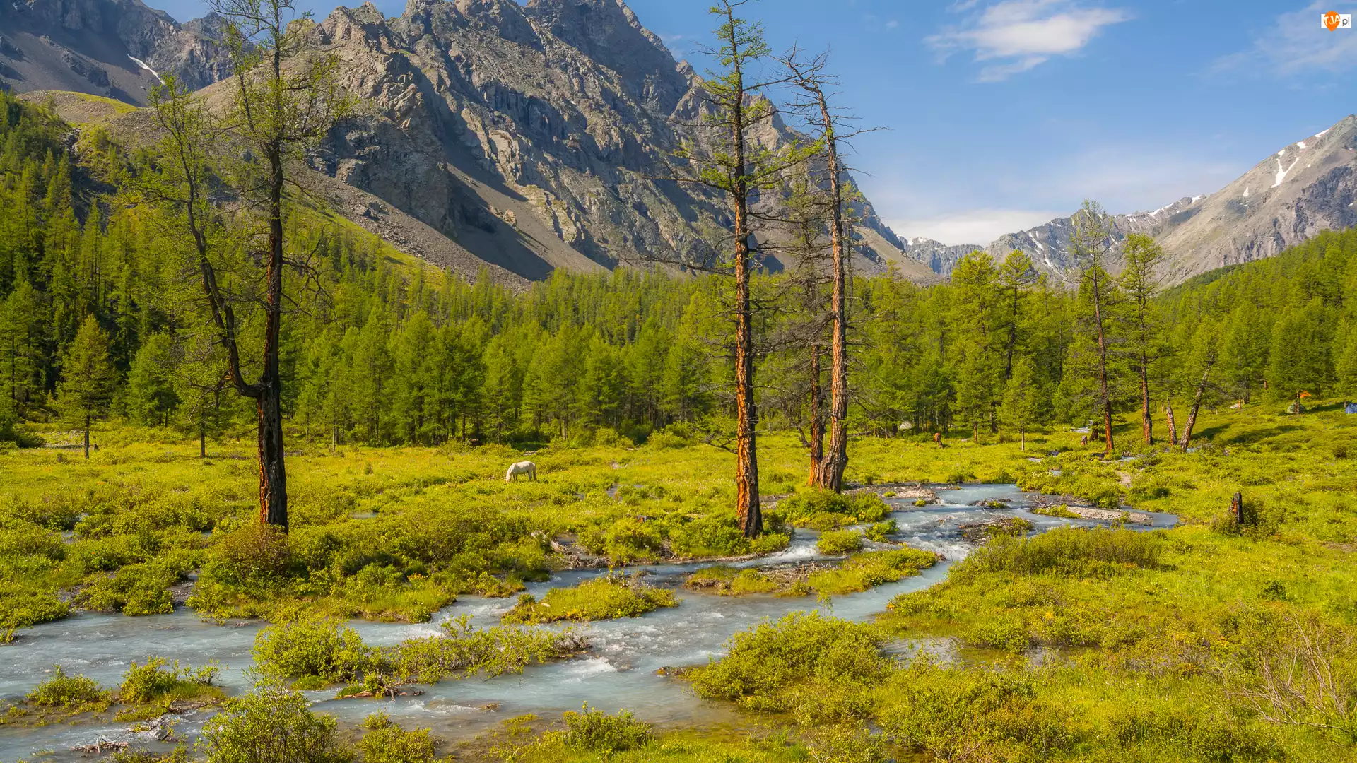 Góry, Strumień, Łąka, Drzewa