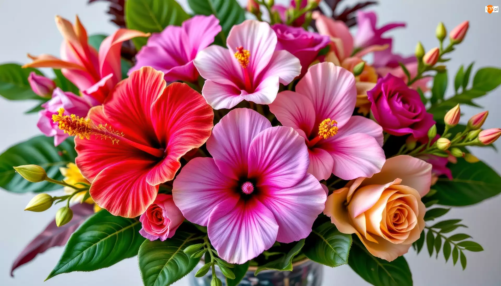 Róże, Grafika AI, Hibiskusy, Kwiaty, Bukiet