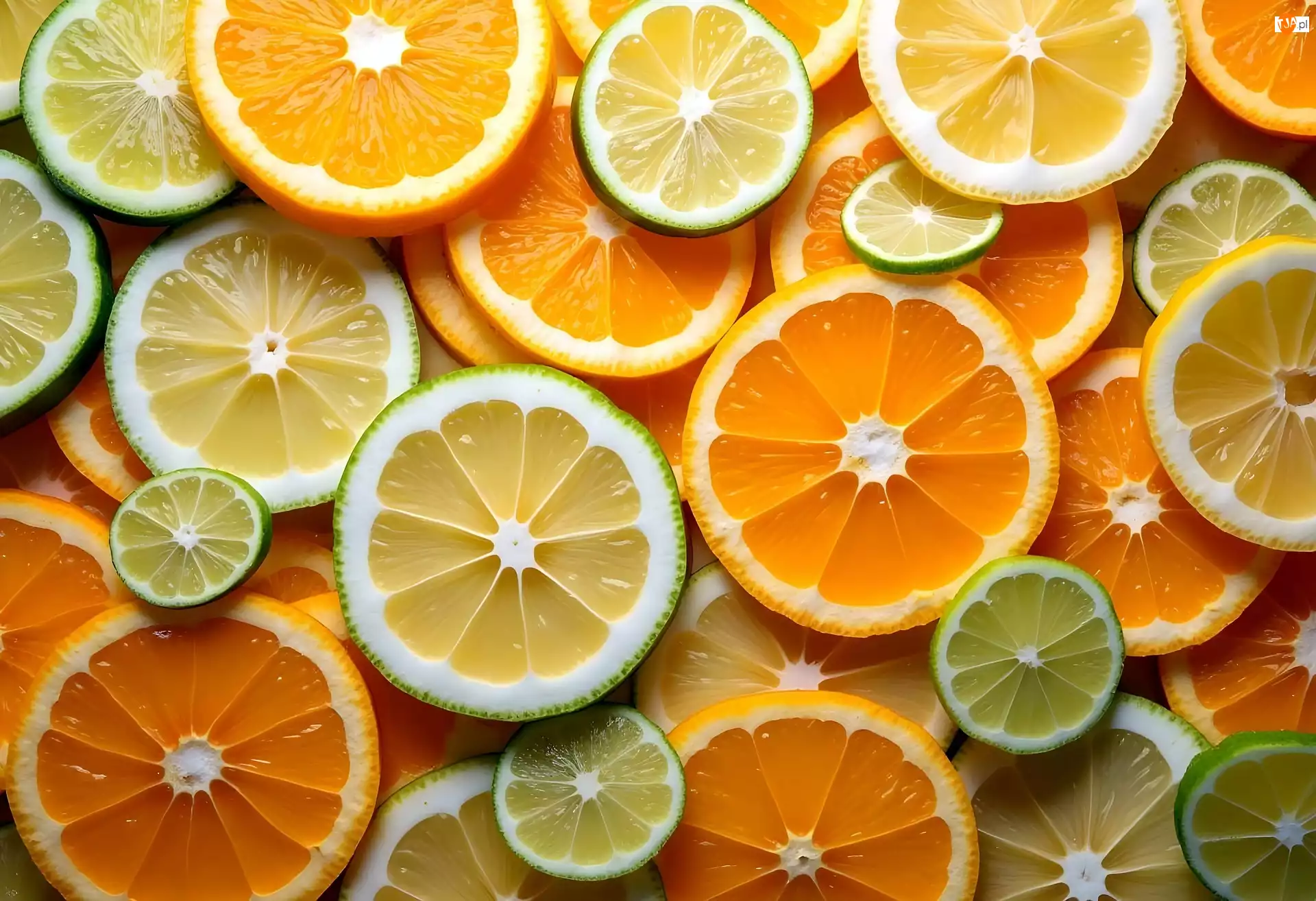Limonka, Plasterki, Pomarańcza, Cytryna