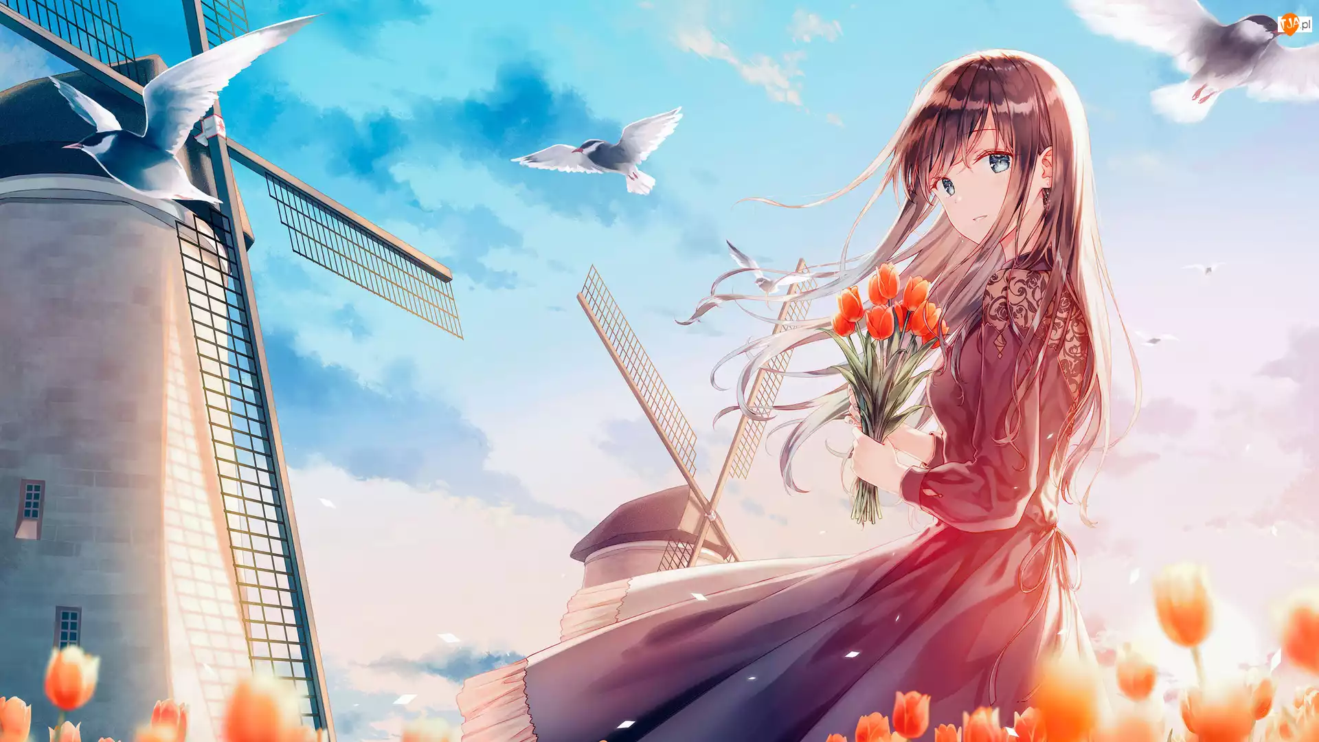 Anime, Dziewczyna, Tulipany, Młyn