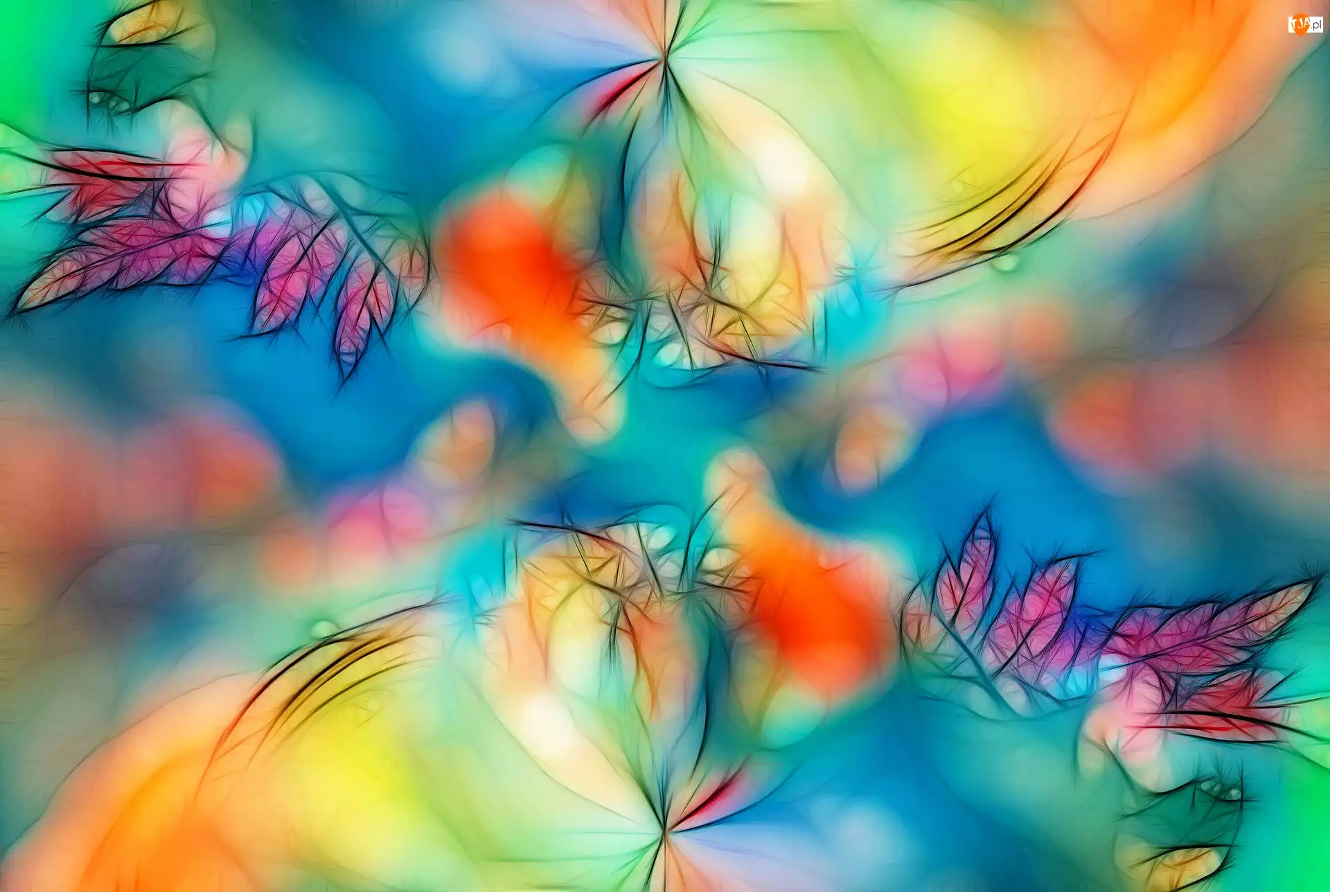 Tło, Fractalius, Liście, Kolorowe