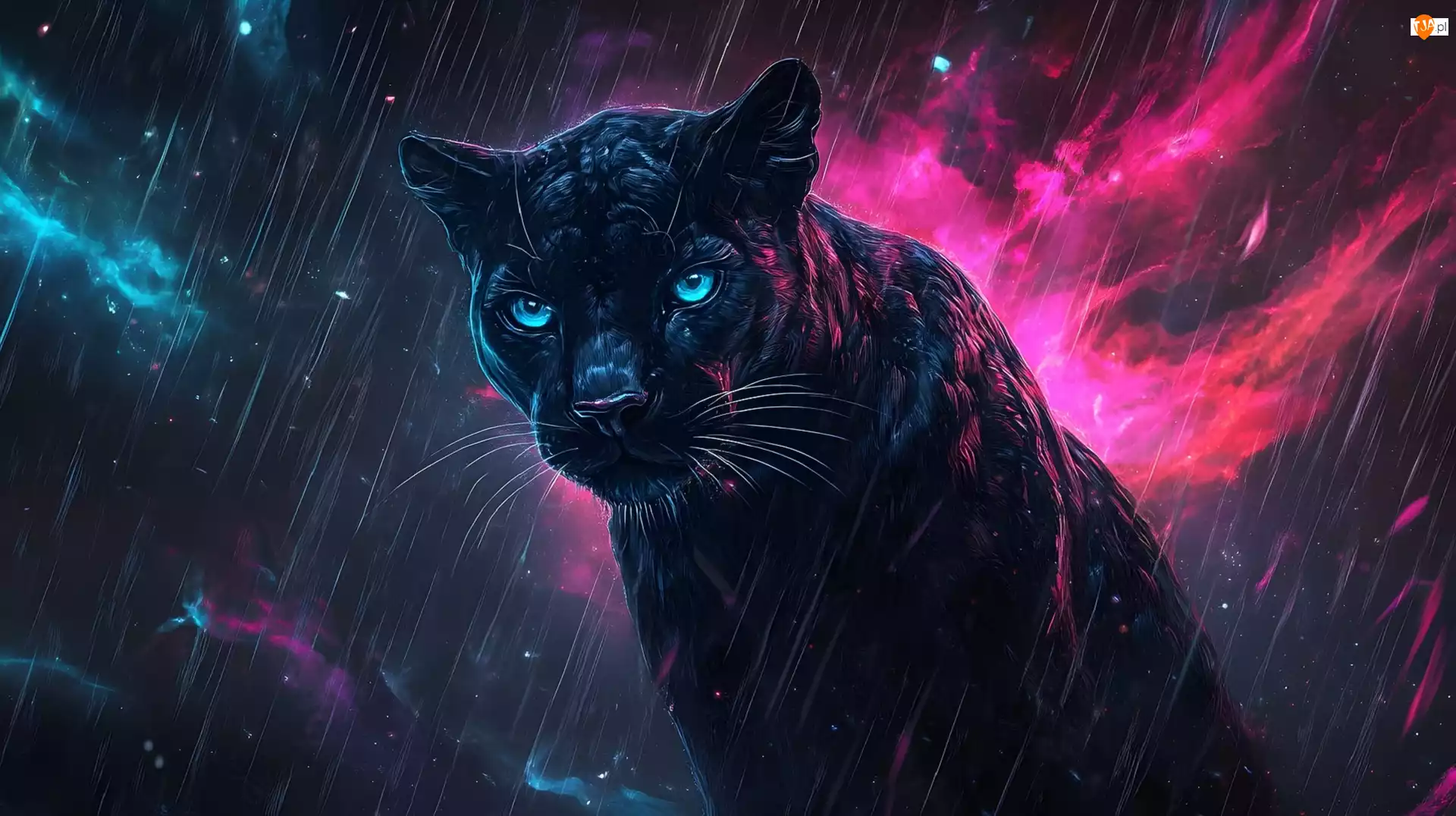 Kolorowe, Czarny, Oczy, Niebo, Lampart, Deszcz, Grafika, Niebieskie