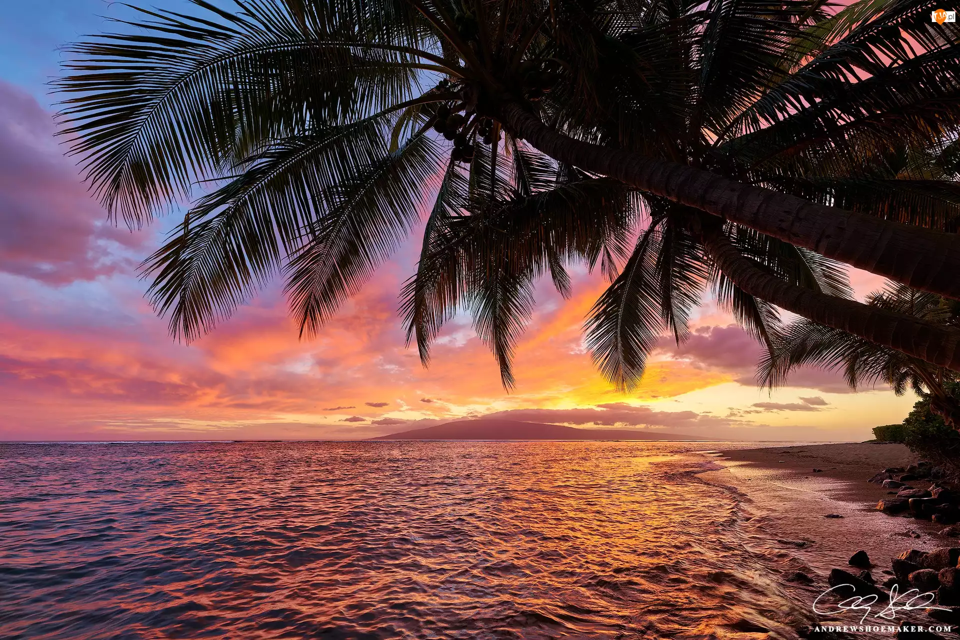 Hawaje, Maui, Zachód słońca, Stany Zjednoczone, Palmy, Plaża, Morze