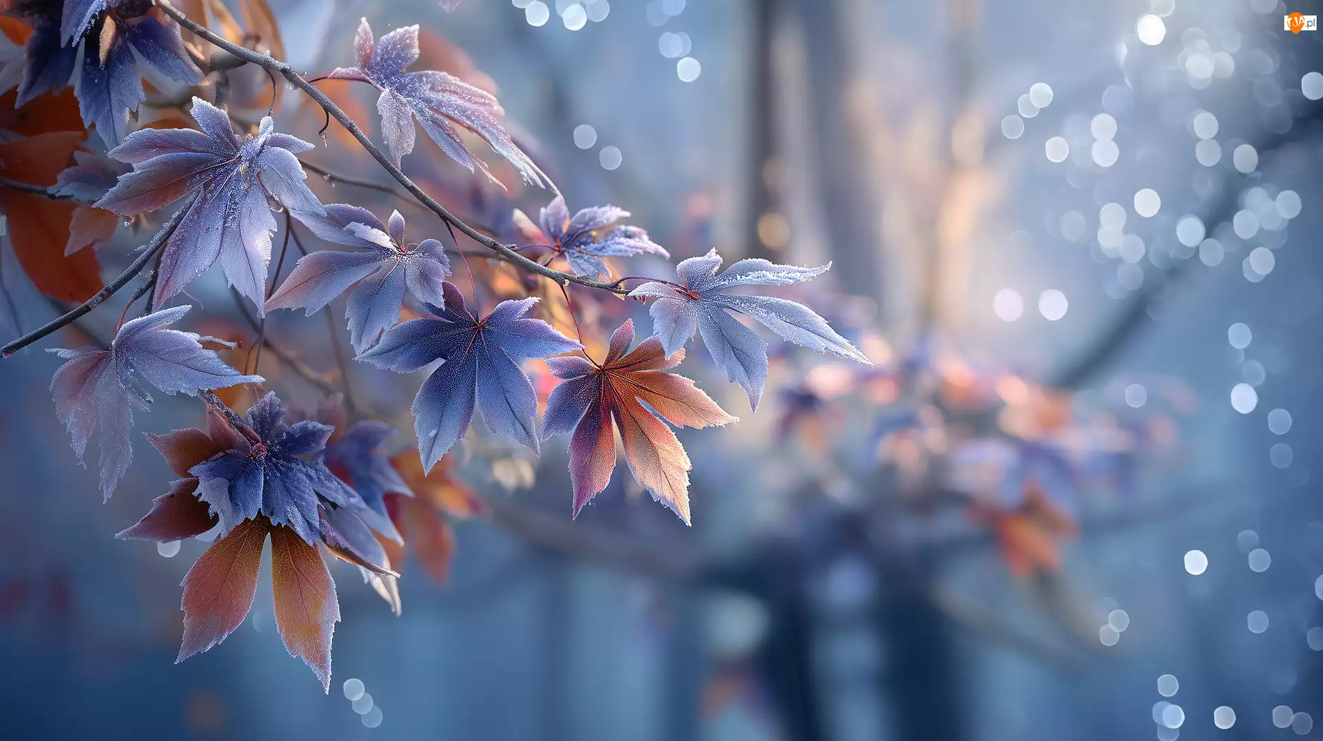 Grafika AI, Oszronione, Liście, Klon