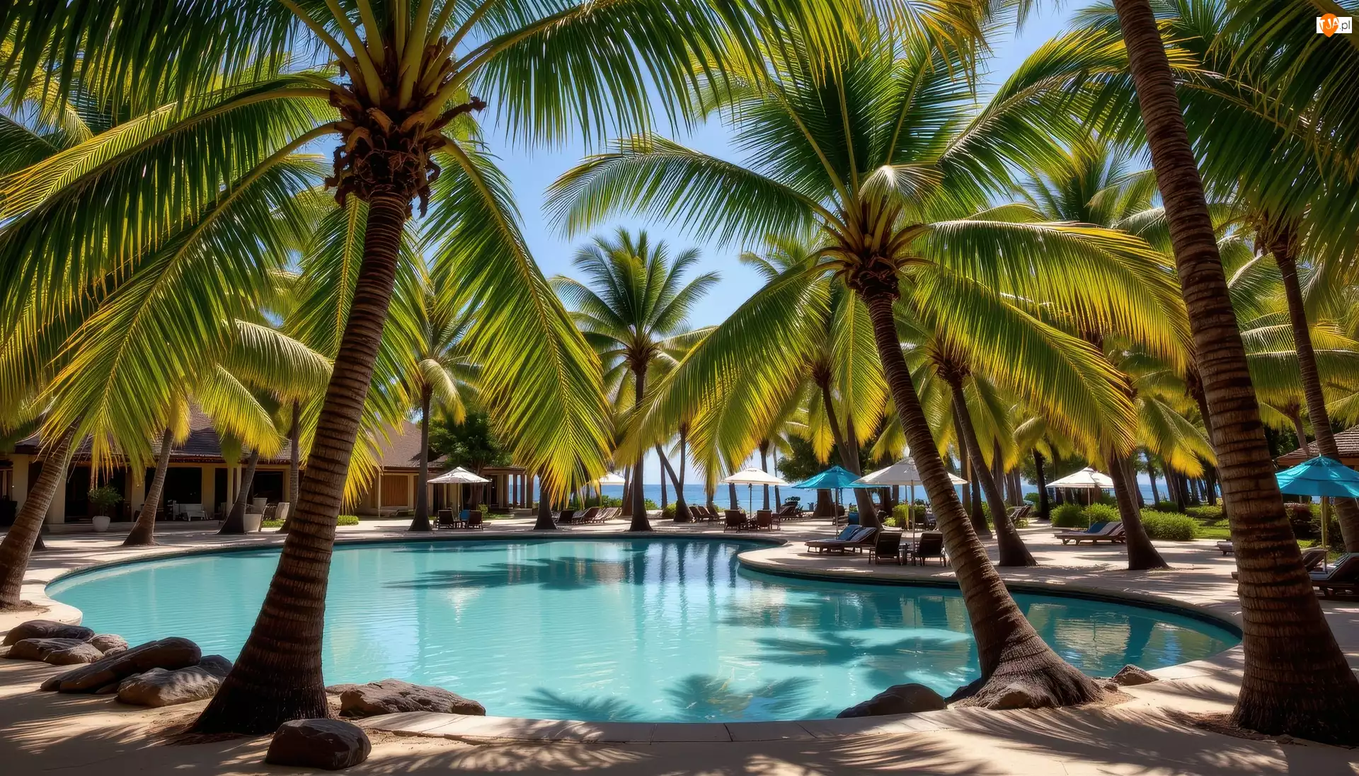 AI, Palmy, Basen, Parasole