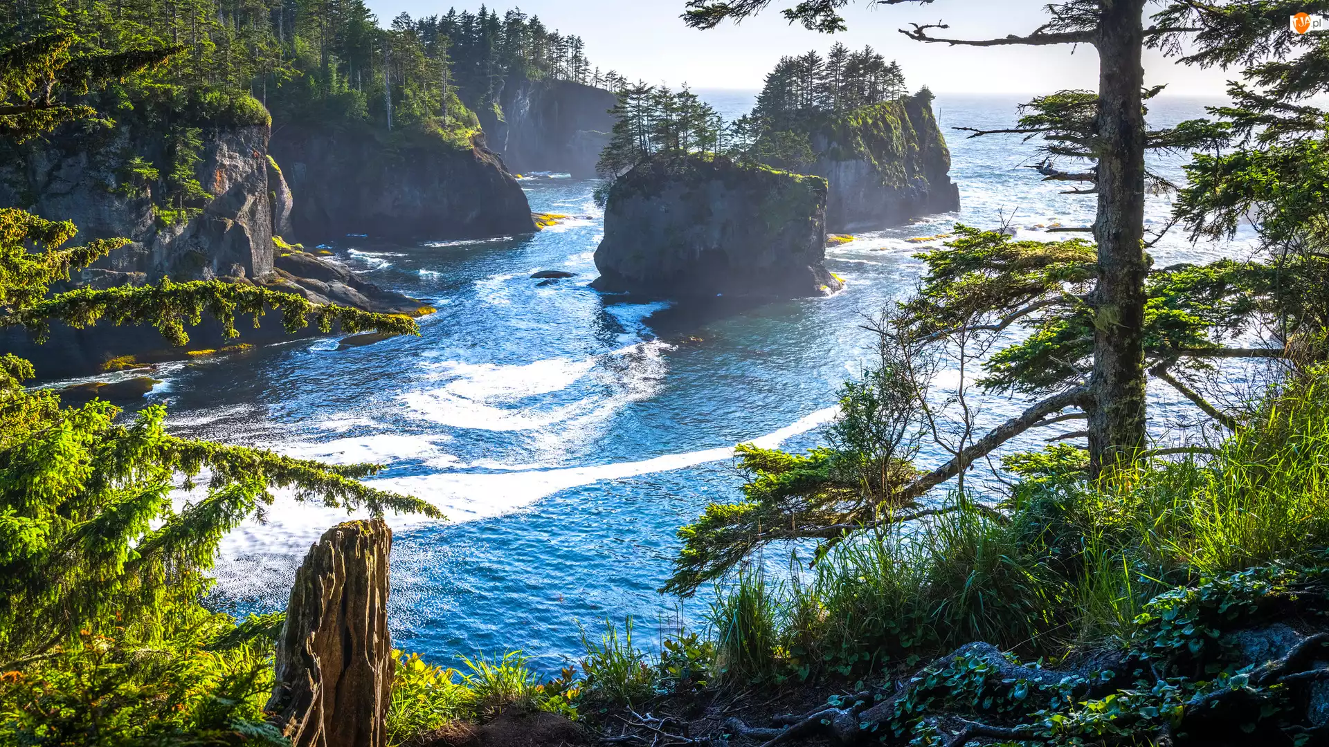 Urwiska, Skały, Morze, Drzewa