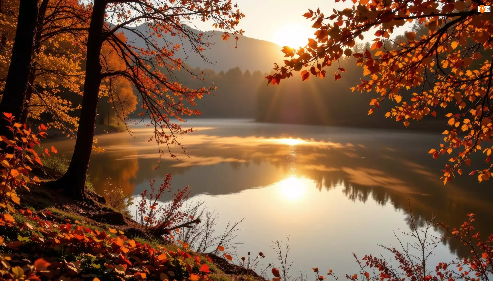 Słoneczny blask, Jesień, Jezioro, Drzewa