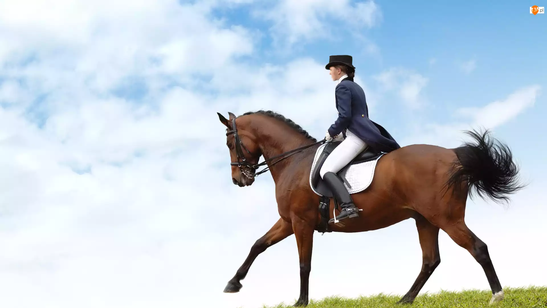 Koń, Kobieta, Pole, Chmury, Jeździectwo, Niebo