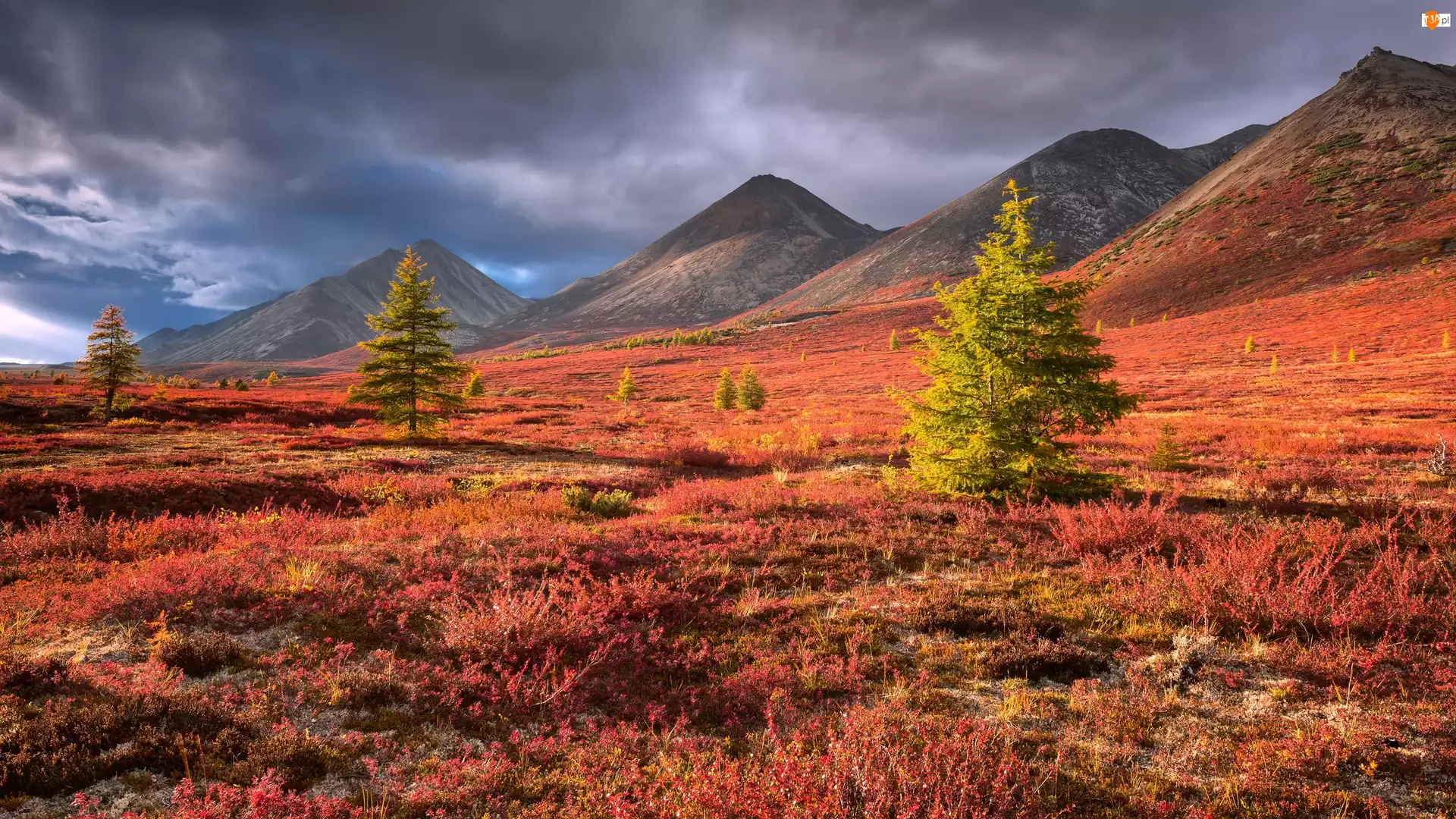 Góry, Rosja, Drzewa, Jesień, Chmury, Krzewy