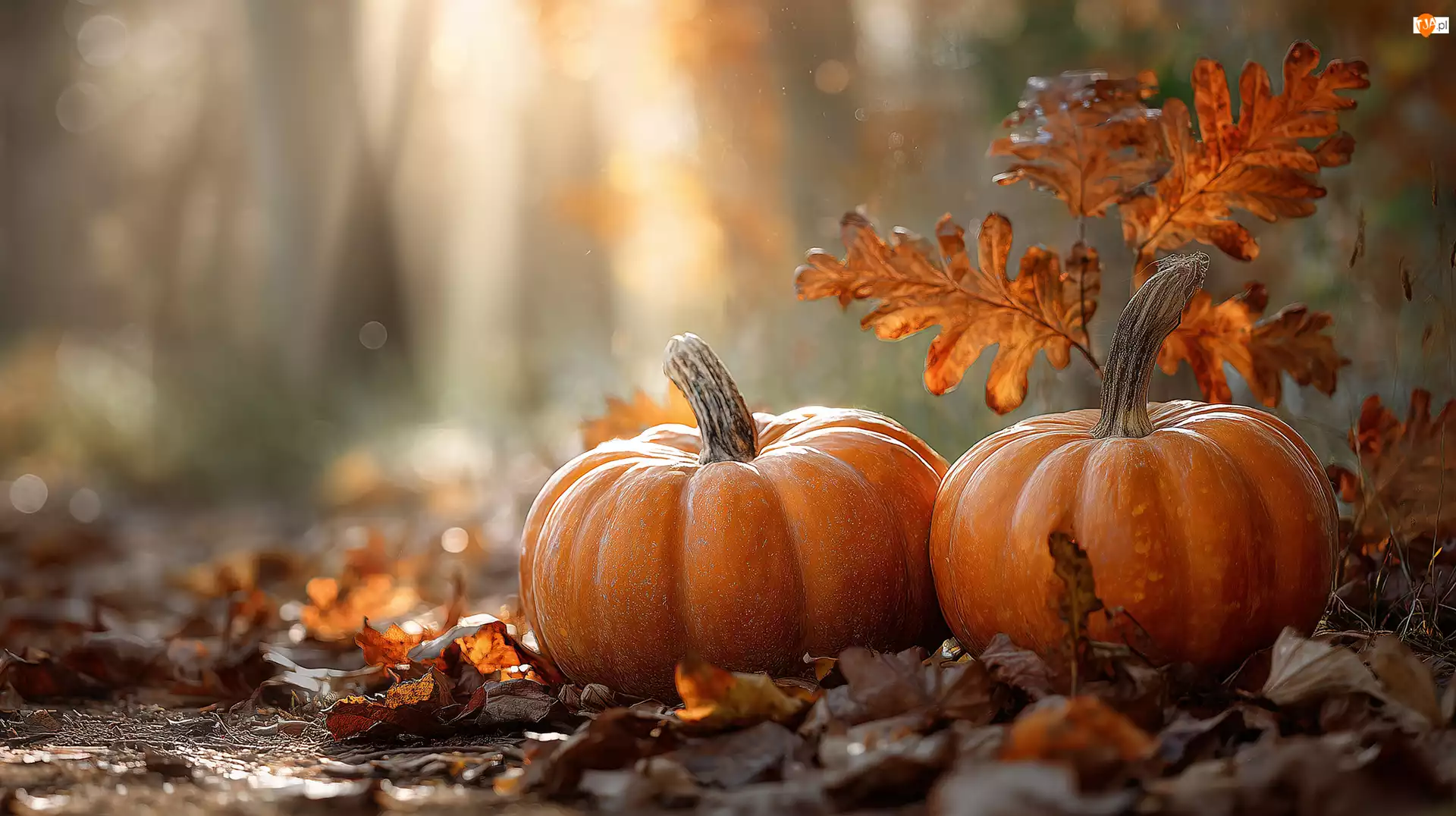 Jesienne, Grafika AI, Dynie, Dwie, Liście