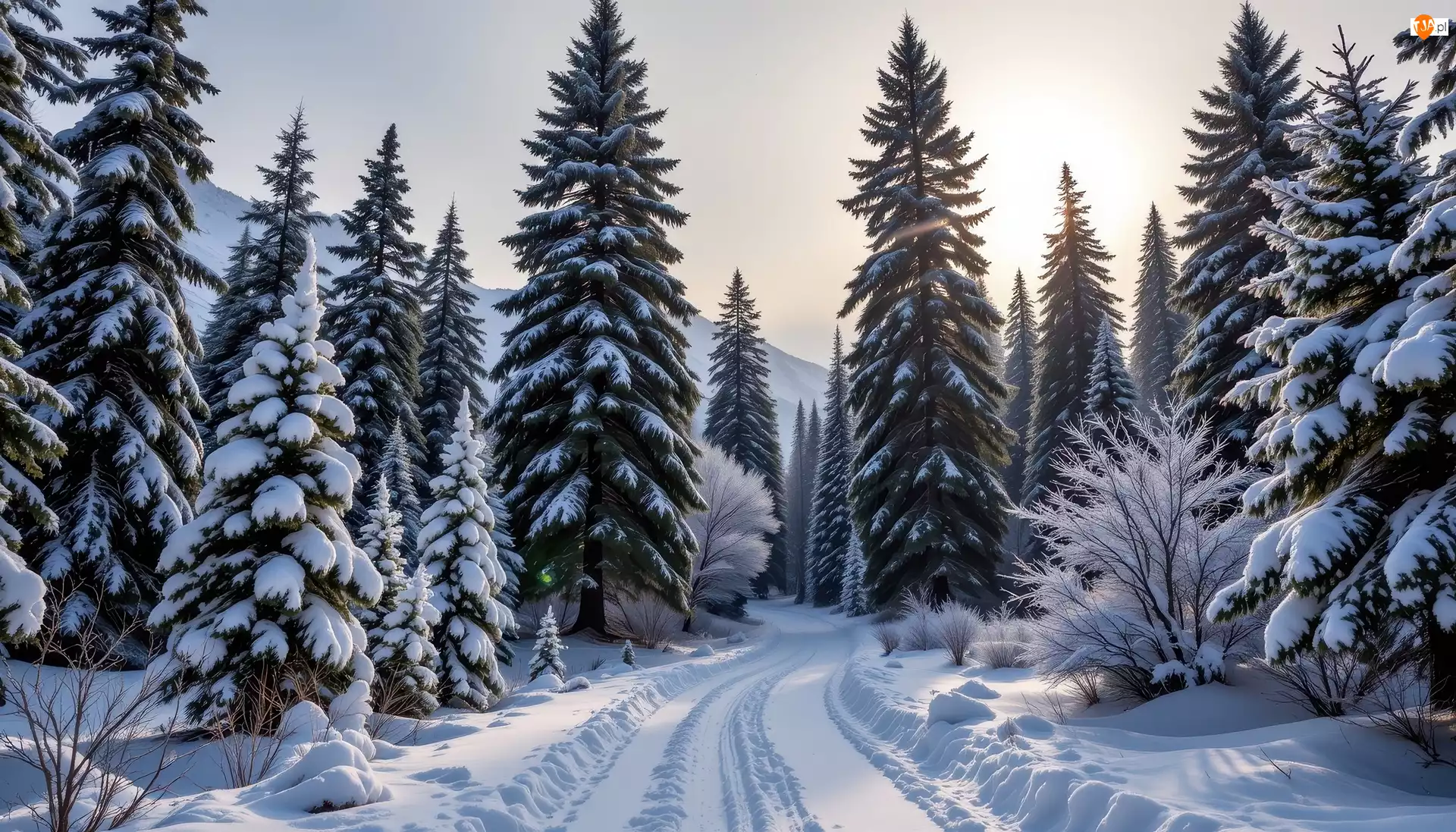 Las, Grafika AI, Droga, Zima, Drzewa