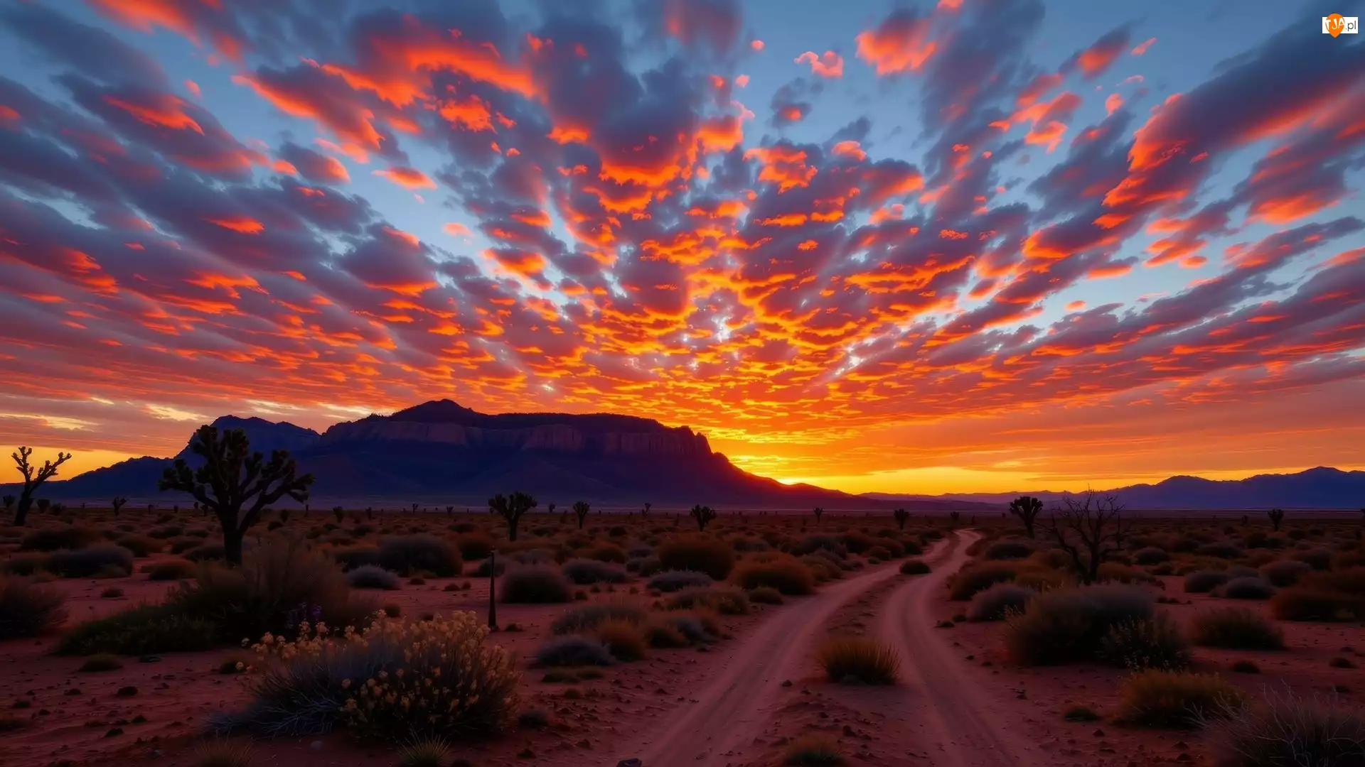 Kolorowe, Niebo, Rośliny, Zachód słońca, Droga, Góry, Chmury