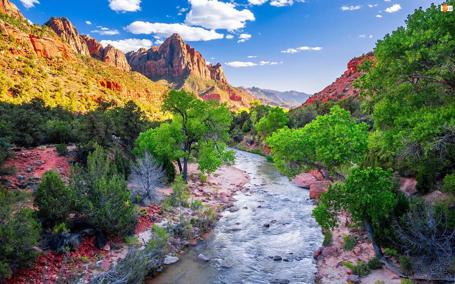 Drzewa, Park Narodowy Zion, Rzeka, Stan Utah, Góry, Virgin River, Stany Zjednoczone, Góra Watchman