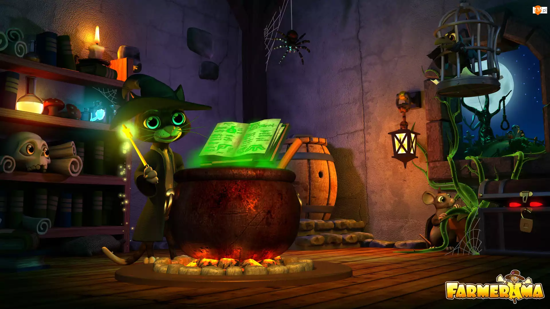 Halloween, Kociołek, Farmerama, Gra, Kot
