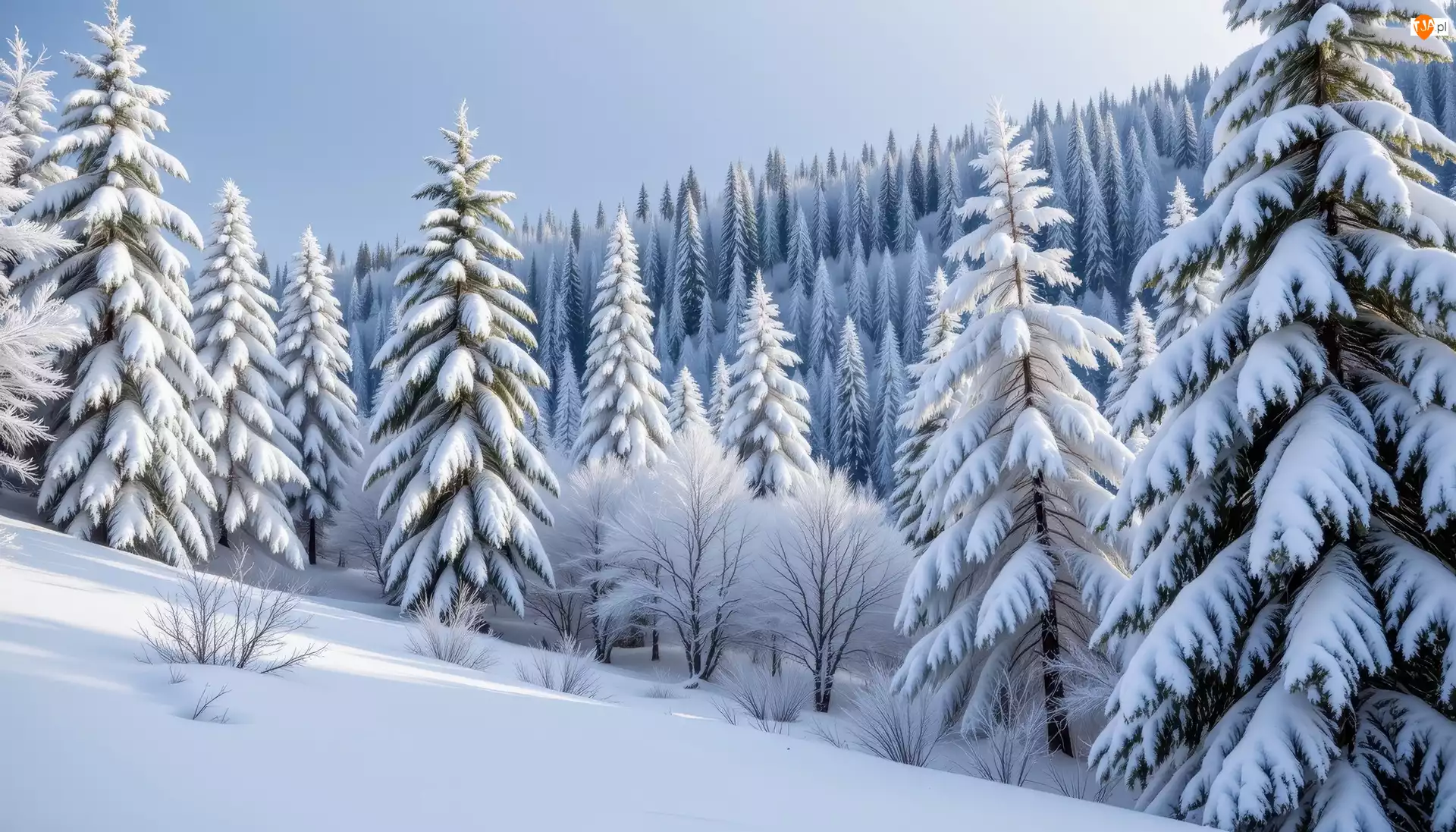 Las, Grafika AI, Zbocze, Zima, Drzewa