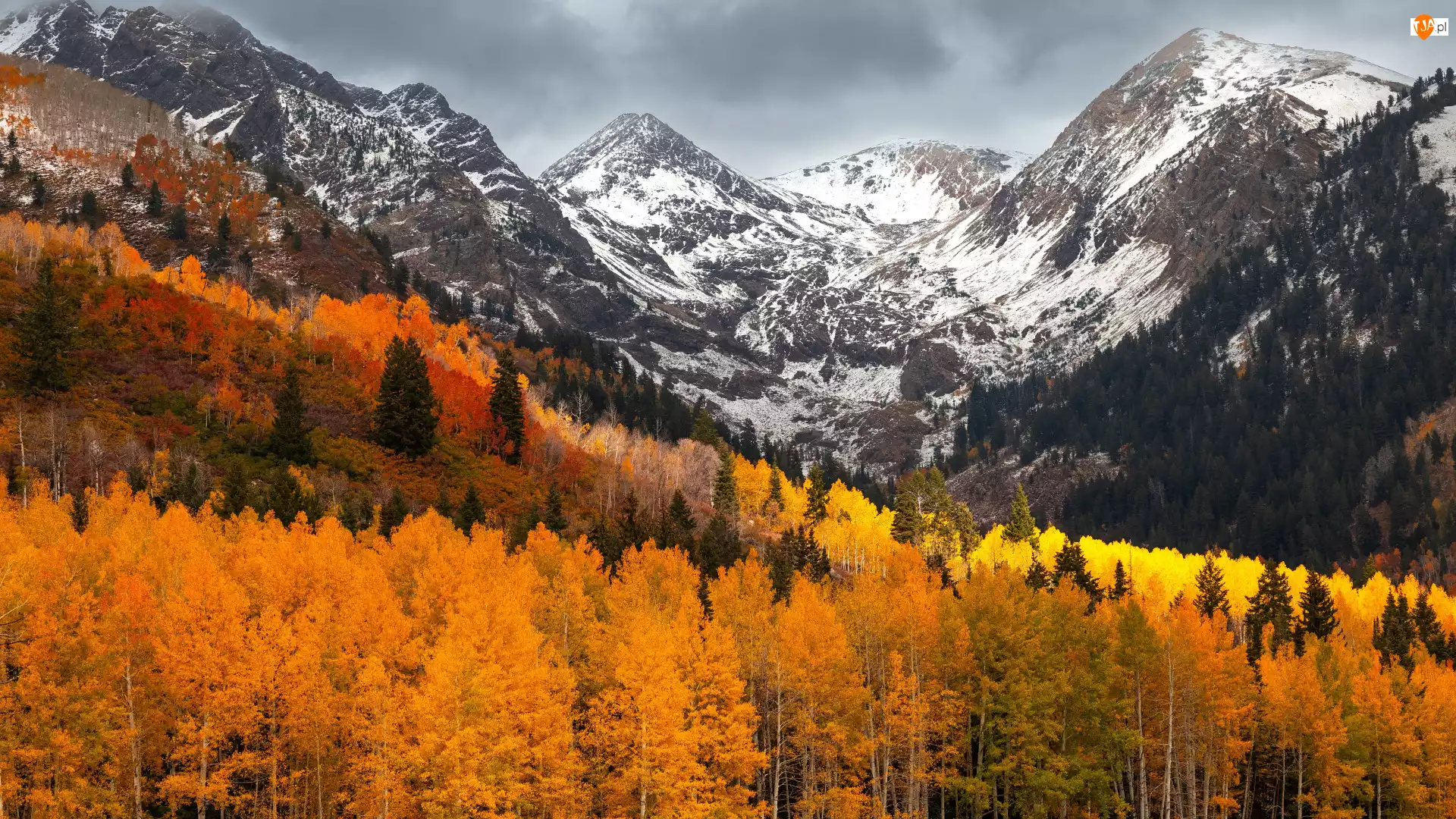 Góry, Jesień, Pożółkłe, Chmury, Las, Drzewa