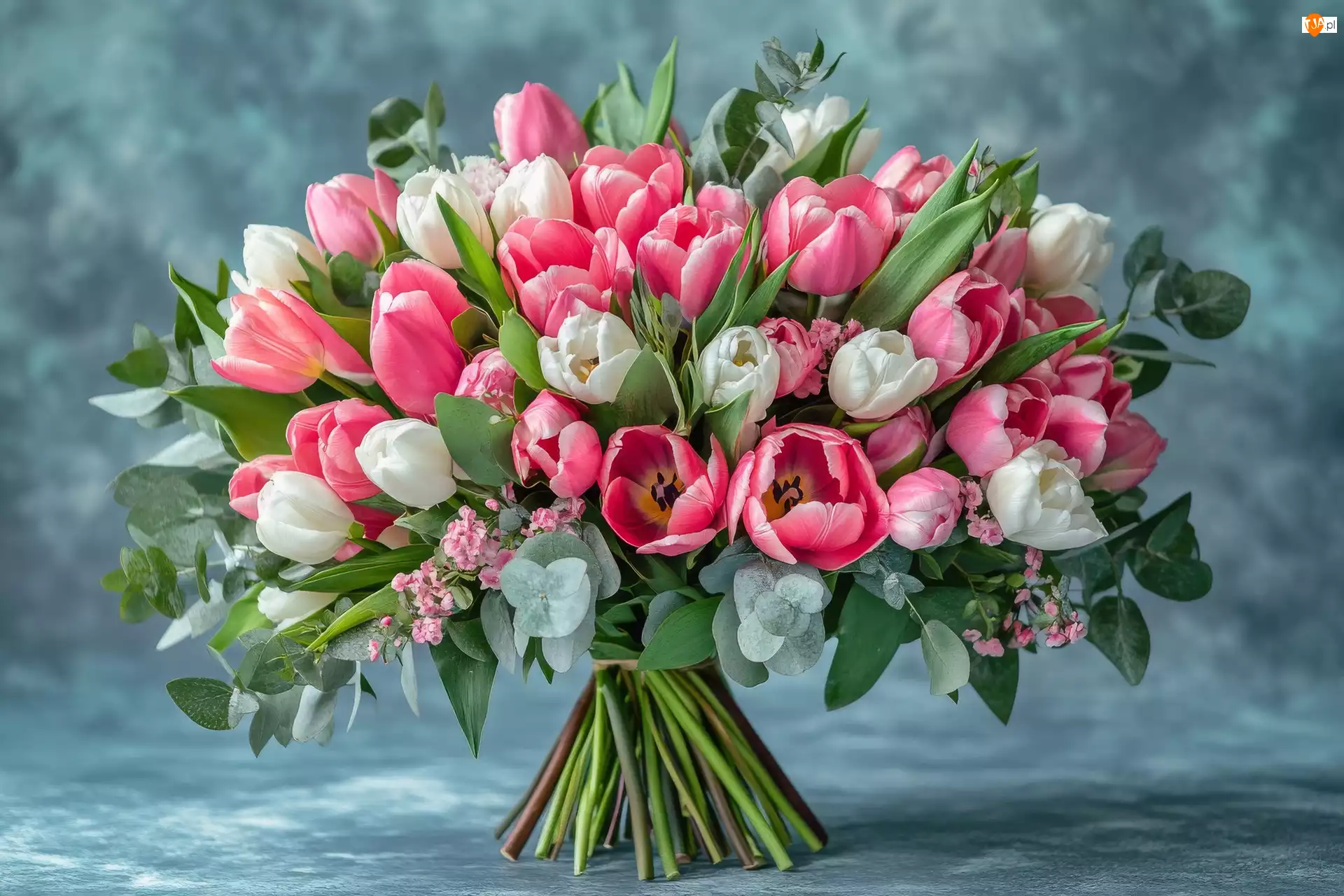 Białe, Listki, Różowe, Bukiet, Tulipany