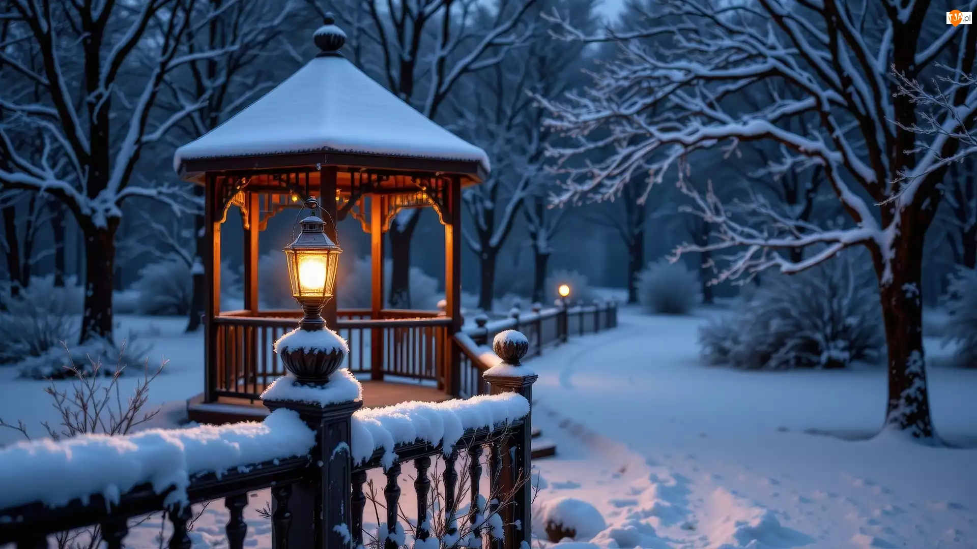 Drzewa, Noc, Ośnieżone, Ogrodzenie, Lampion, Park, Altana, Zima, Śnieg