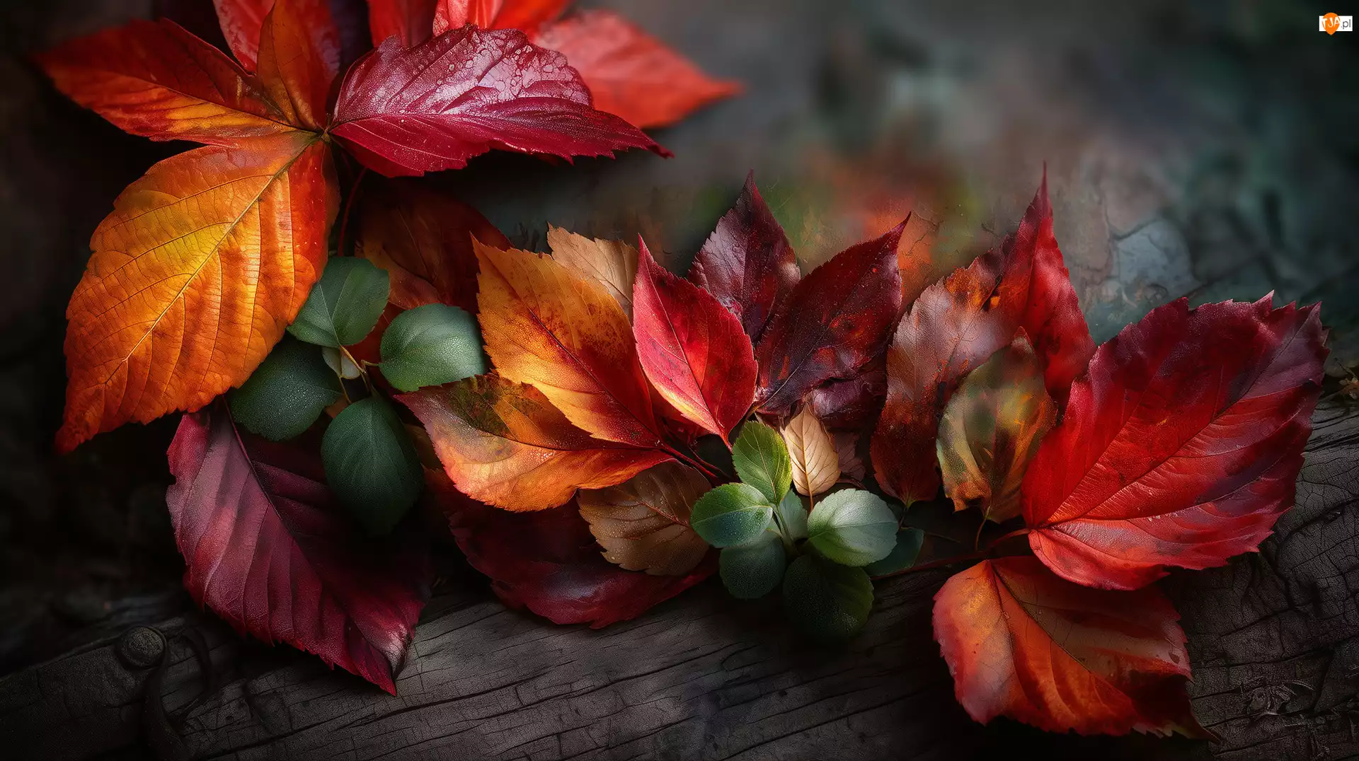 Grafika AI, Kolorowe, Różne, Liście