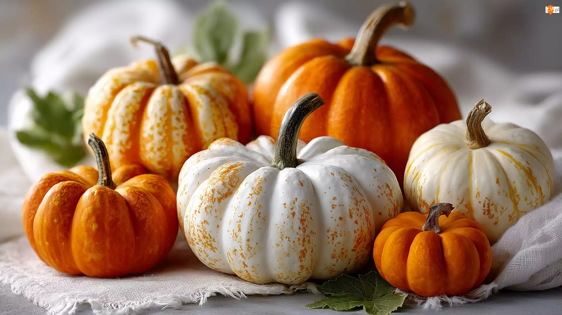 Pomarańczowe, Białe, Serweta, AI, Dynie, Grafika