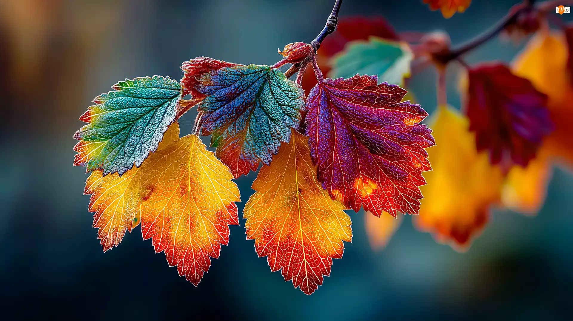 Grafika AI, Kolorowe, Jesienne, Liście