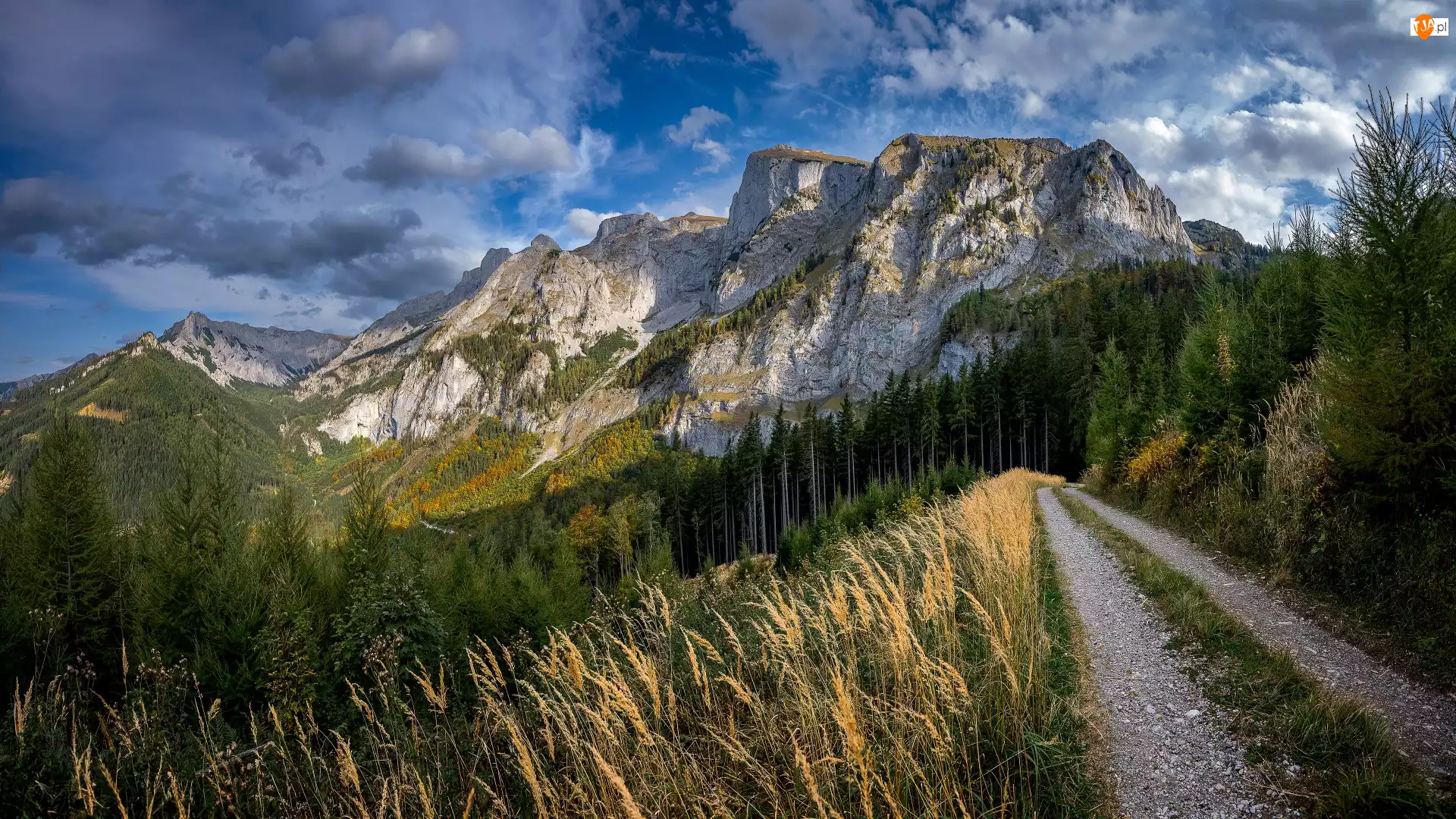 Trawa, Góry, Drzewa, Chmury, Droga, Niebo