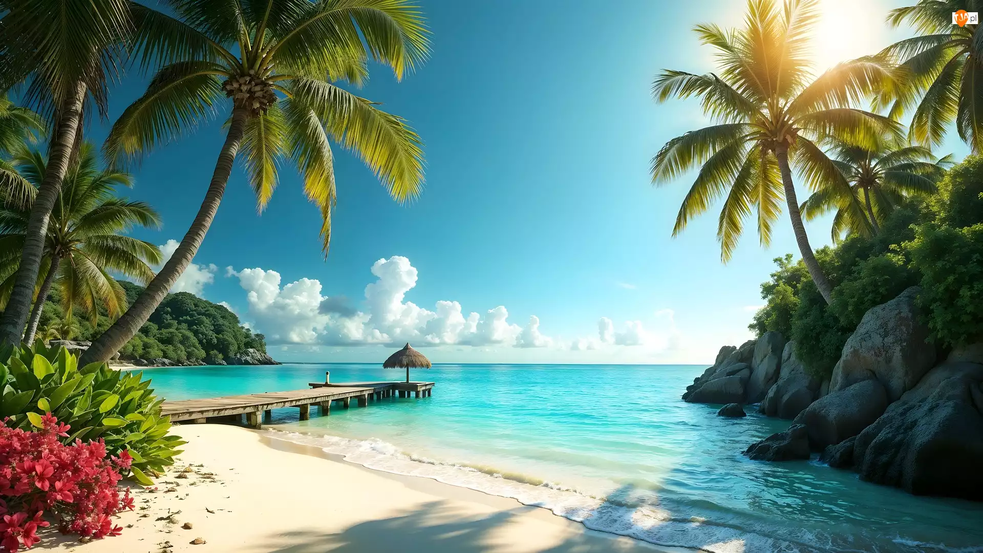 Plaża, Palmy, AI, Morze, Pomost, Roślinność, Skały