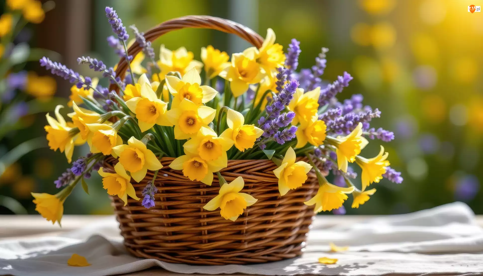 Kwiaty, Lawenda, Koszyk, Wiklinowy, Narcyzy żonkile