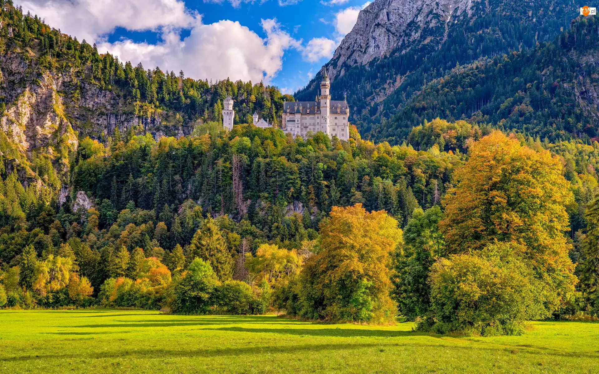 Jesień, Góry, Niemcy, Zamek Neuschwanstein, Bawaria, Drzewa, Skały
