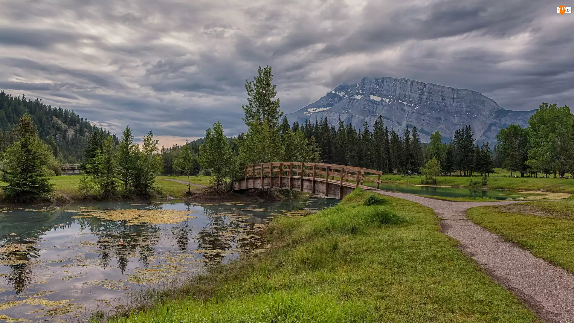 Staw, Mount Rundle, Kanada, Park Narodowy Banff, Alberta, Drzewa, Mostek, Góra, Chmury