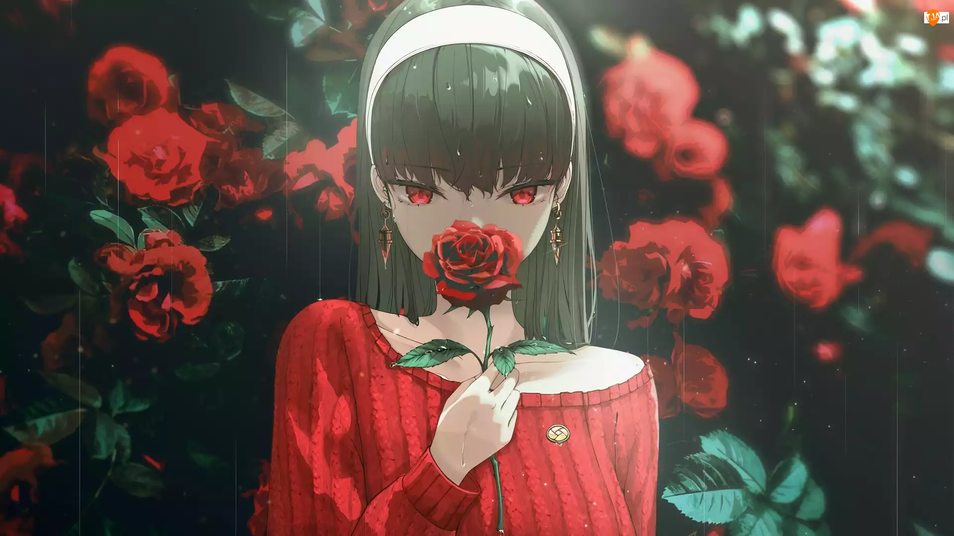 Czerwone, Oczy, Anime, Dziewczyna, Róże, Sweter, Czerwony