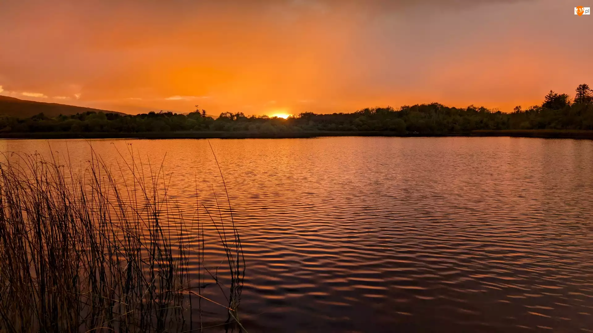 Ross Lake, Jezioro, Rosscahill, Irlandia, Zachód słońca, Galway