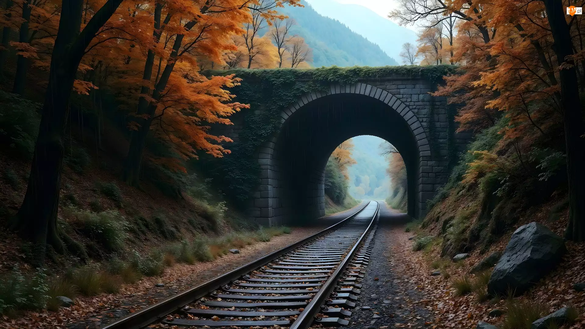 Kamienny, Most, Drzewa, AI, Tory, Jesień