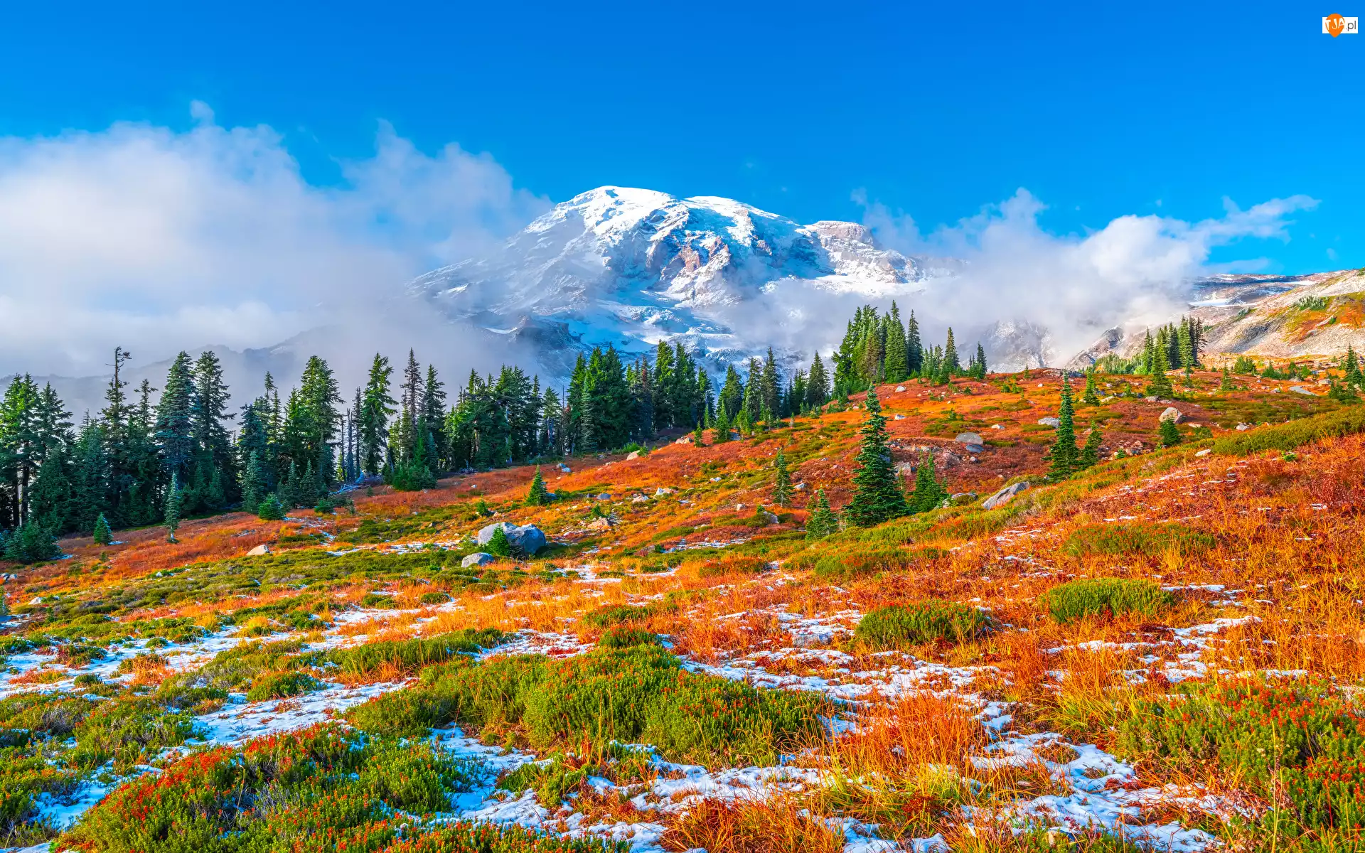 Jesień, Park Narodowy Mount Rainier, Mount Rainier, Stan Waszyngton, Góry, Drzewa, Stany Zjednoczone, Stratowulkan