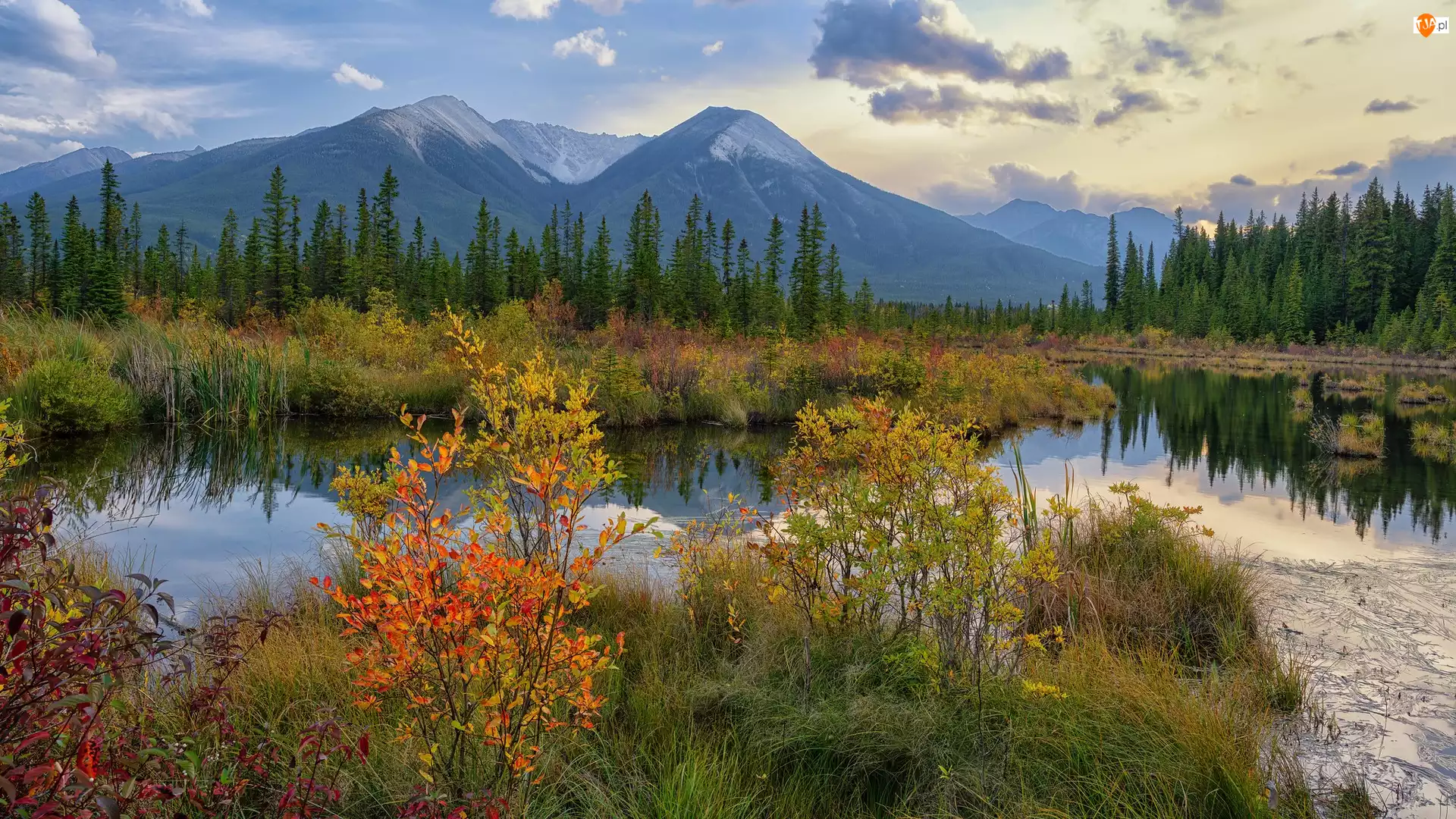 Vermilion Lake, Kanada, Góry, Drzewa, Alberta, Jezioro, Jesień, Park Narodowy Banff