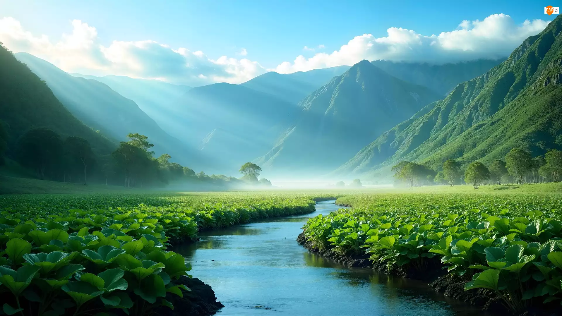Rzeka, AI, Dolina, Góry, Rośliny