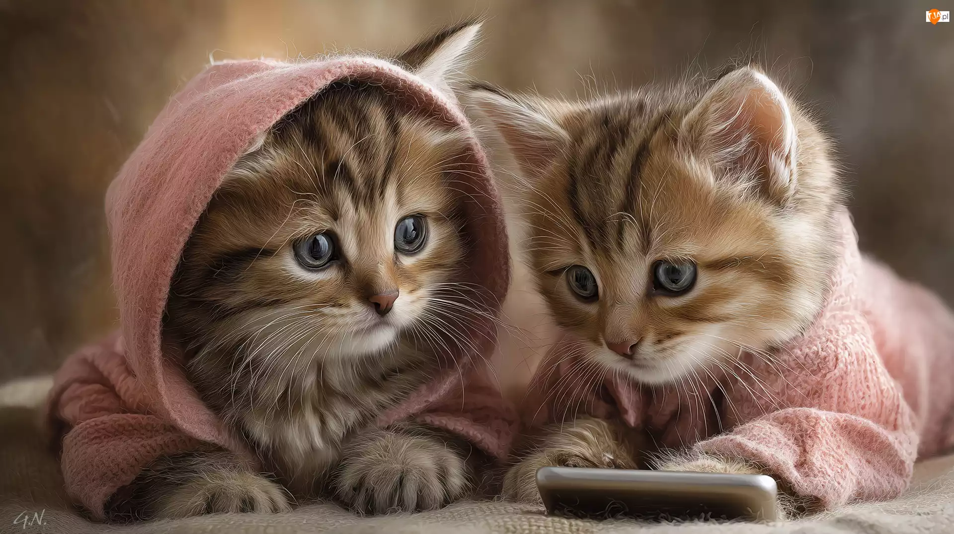 Koty, Różowe, Grafika AI, Dwa, Komórkowy, Telefon, Ubranka