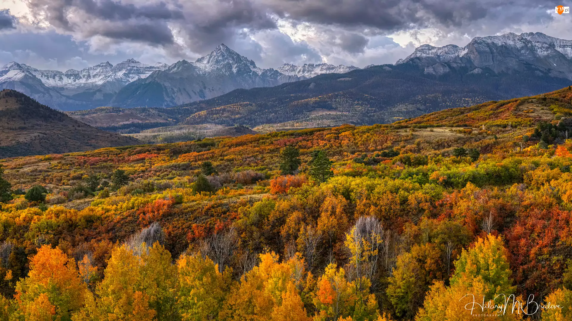 Jesień, San Juan Mountains, Stany Zjednoczone, Góry, Kolorado, Drzewa, Kolorowe
